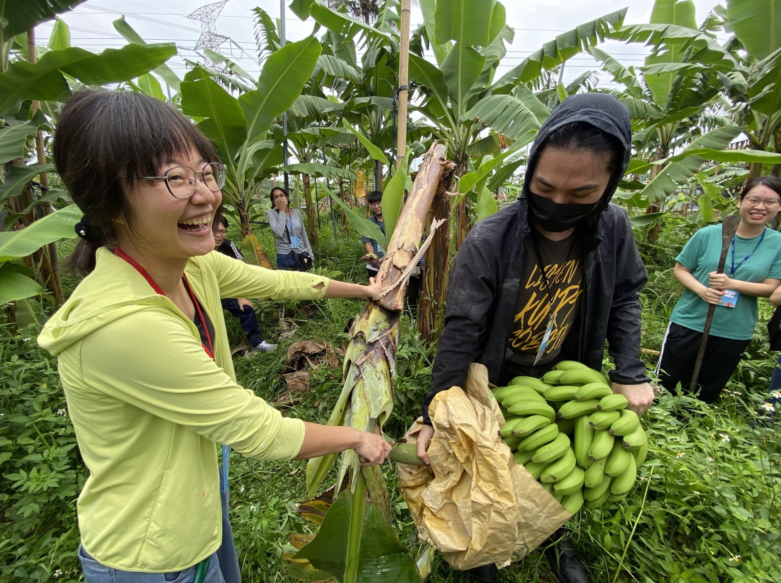 高雄旗山區「台青蕉」帶領青年採集香蕉製作料理