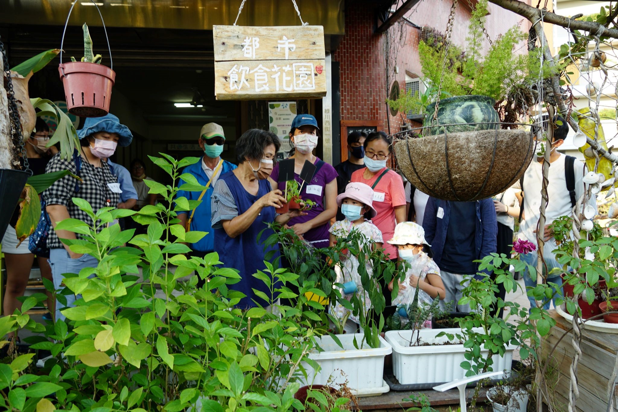 好伴社計股份有限公司讓實作生規劃「舊城綠洲共享計畫」，嘗試透過植栽，開啟與社區居民交流、共享機會