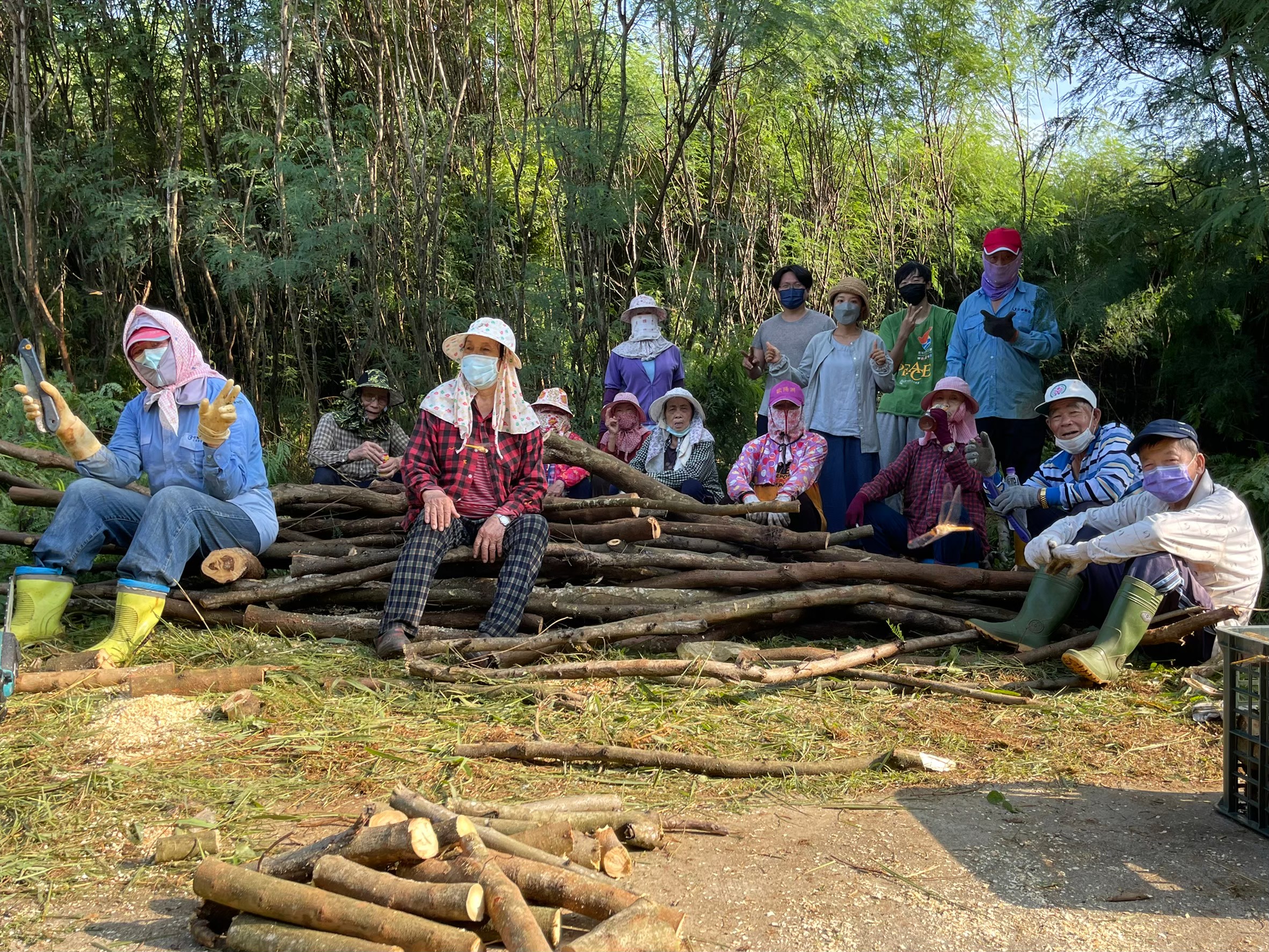 樸植作工作室團隊與湖東社區長輩們攜手合作，整頓澎湖社區環境的銀合歡