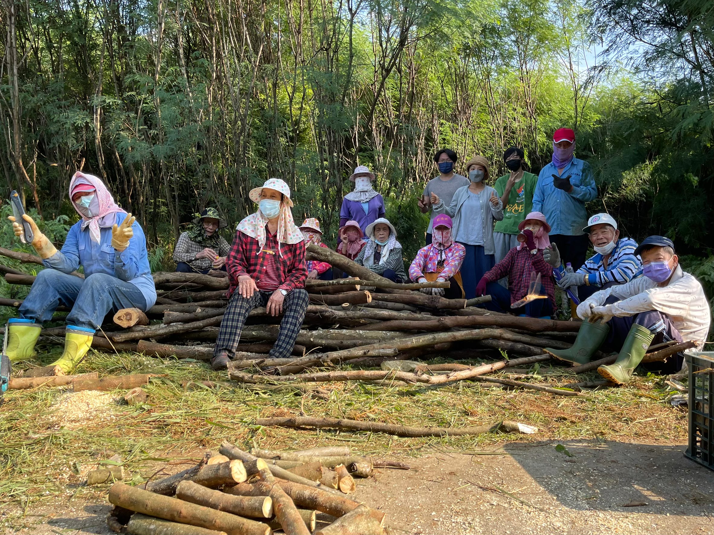 樸植作工作室團隊與湖東社區長輩們攜手合作,整頓澎湖社區環境的銀合歡
