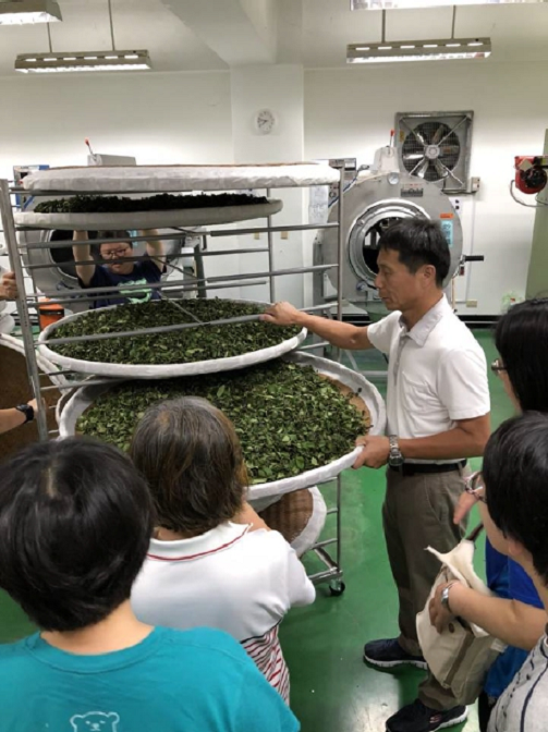 大葉大學校內建置「製茶技術實驗室」，提供學生體驗製茶過程並認識茶產業。
