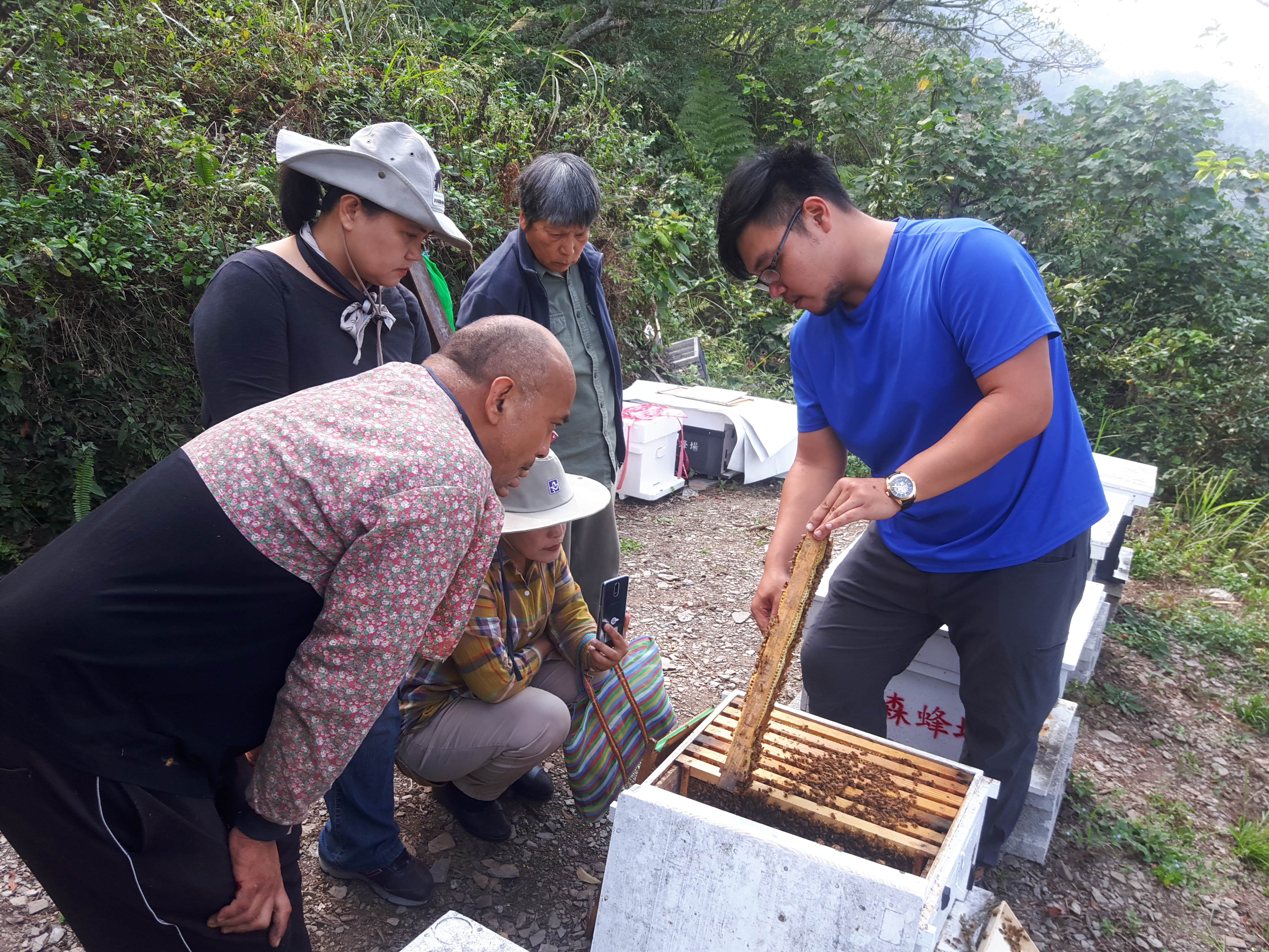 團隊輔導部落的原民學習養蜂及種植花蜜植物等技術，建構當地養蜂產業基礎
