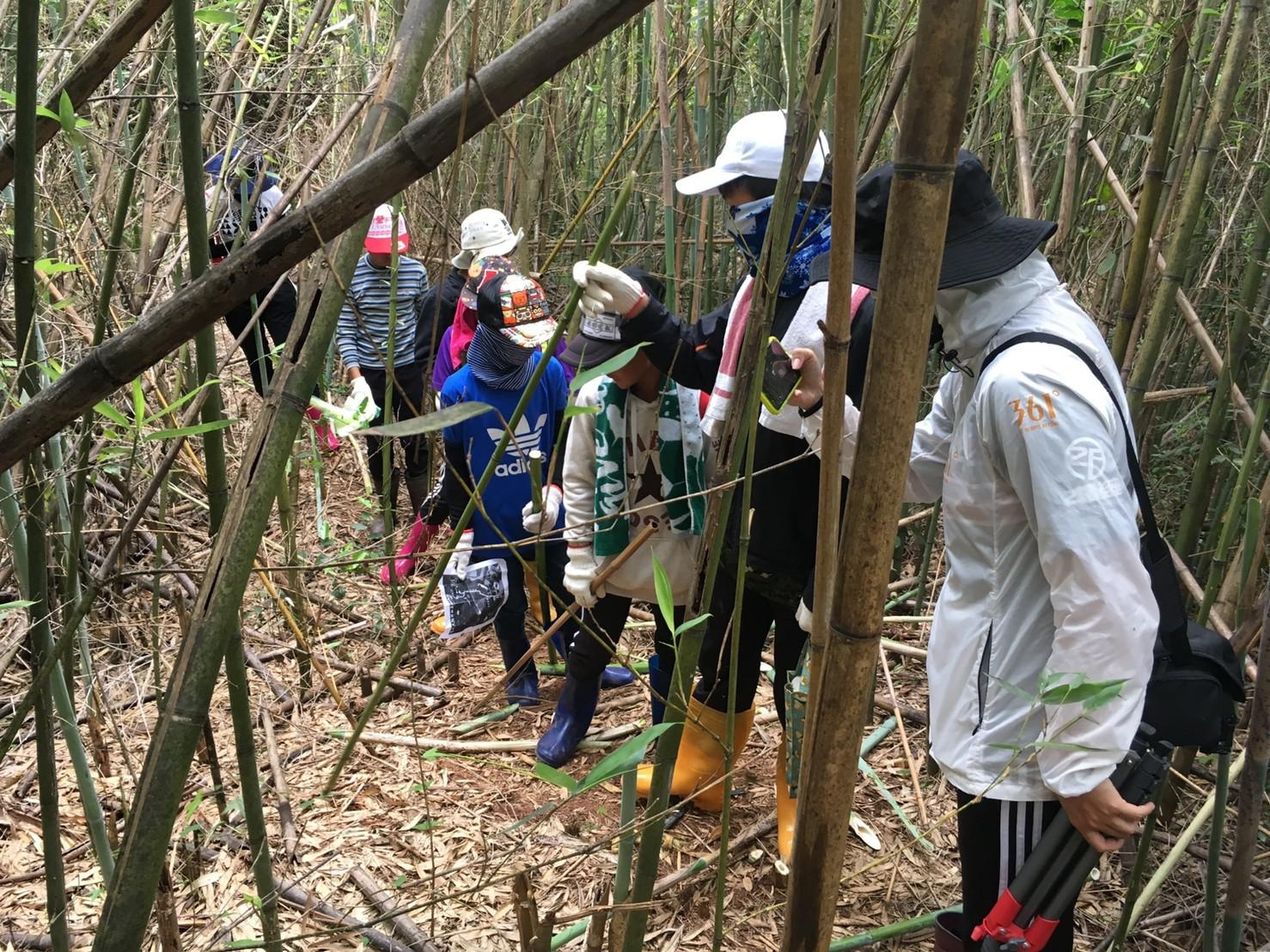 團隊與Puyuma花環實驗小學合作，帶領小朋友探索山林生態並認識卑南祭祀及傳說禁忌故事