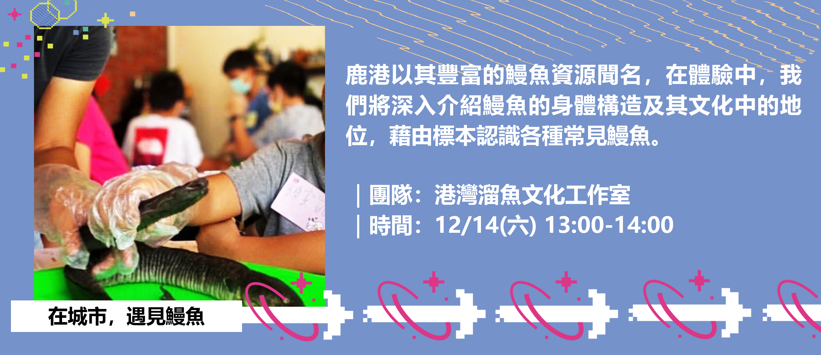 彰化「港灣溜魚文化工作室」透過鰻魚標本帶領民眾認識鰻魚構造與在地文化意義。
