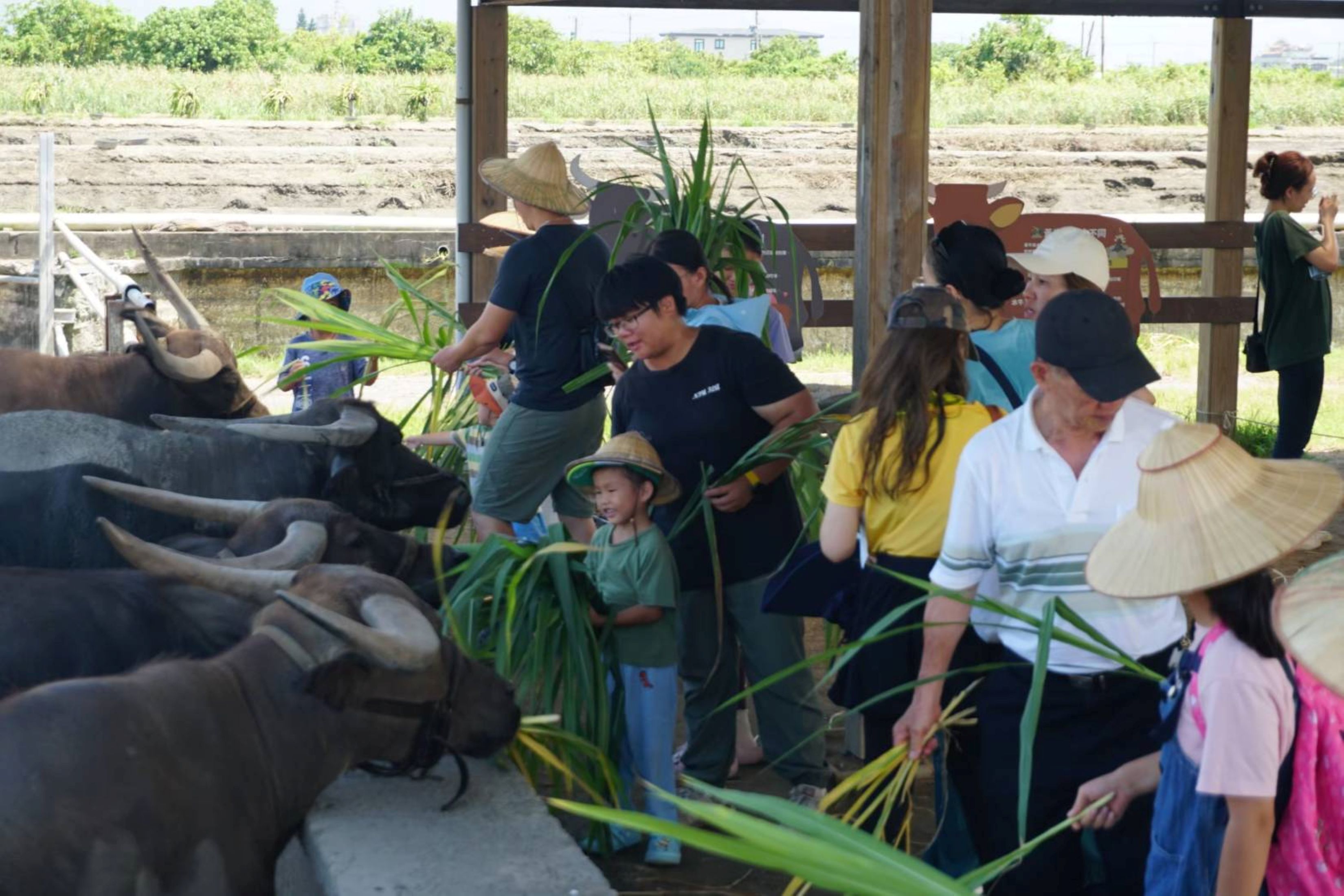 提出《發糞塗牆的計劃》的黃瑛祺，在青聚點「真食感受」輔導業師的陪伴下，持續討論並細化實踐內容。
