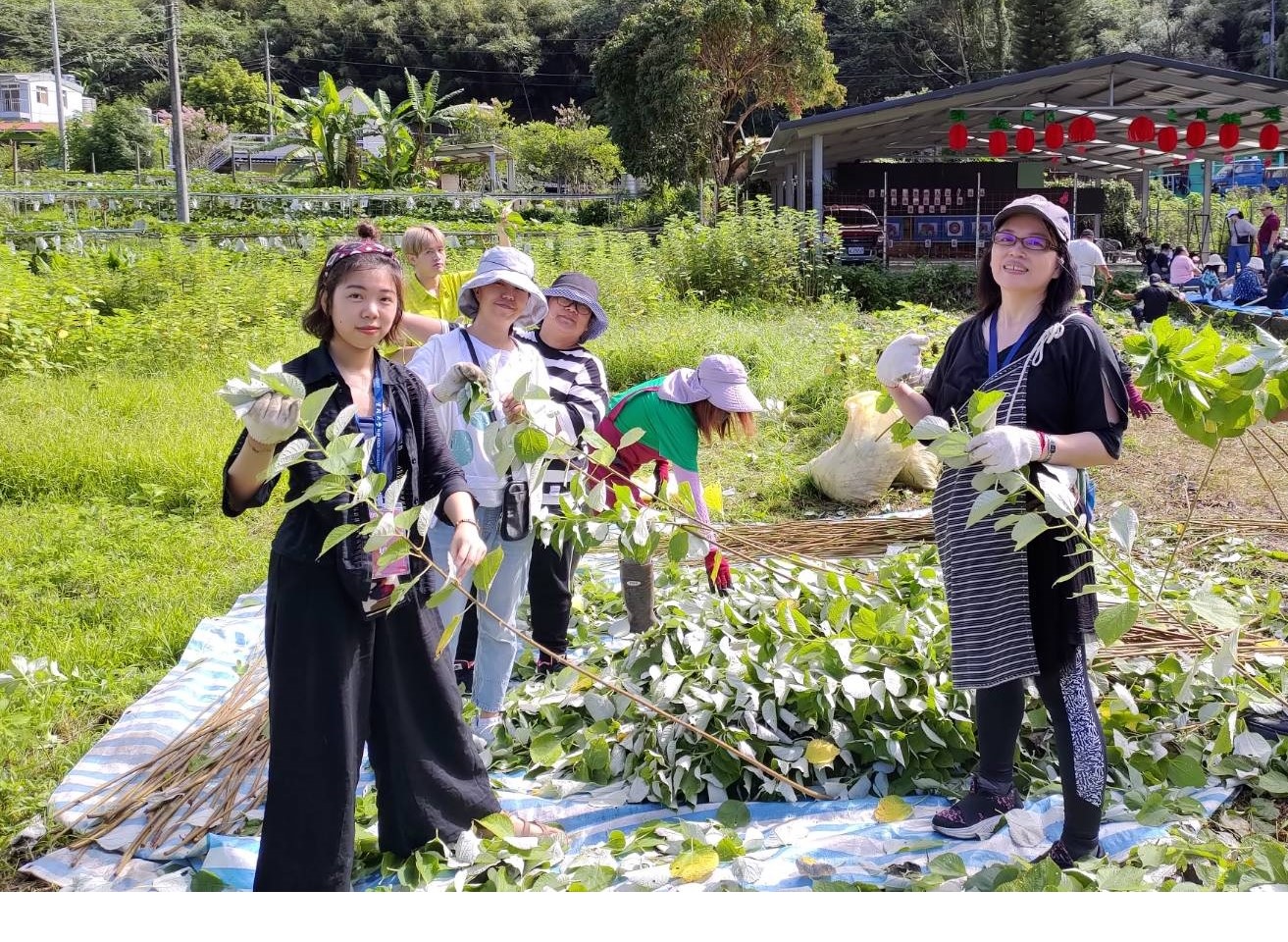 實踐大學帶領原民學生至部落踏查，學習取得織布原料，透過瞭解自身原民文化，進而思索返回原鄉就創業的可能性。（109年7月拍攝）