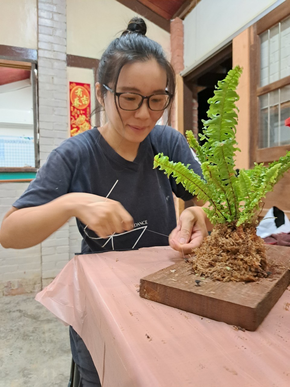 行動體驗4-植物上板