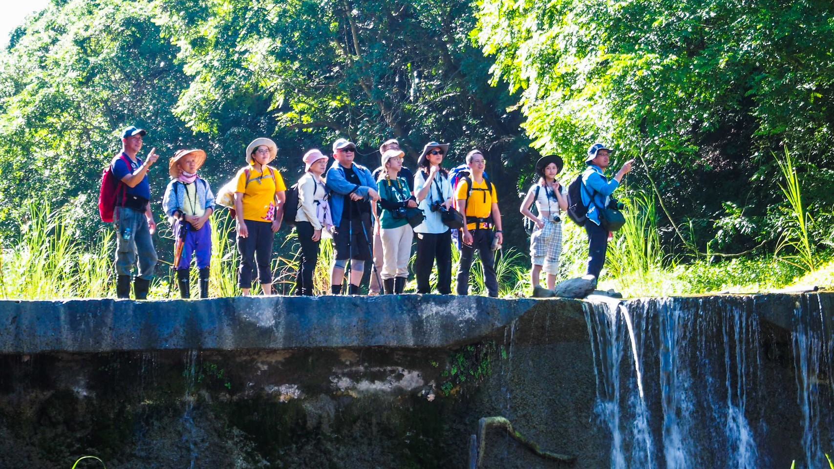 114/10/08 湯姆生的足跡，青年壯遊的杉林篇章