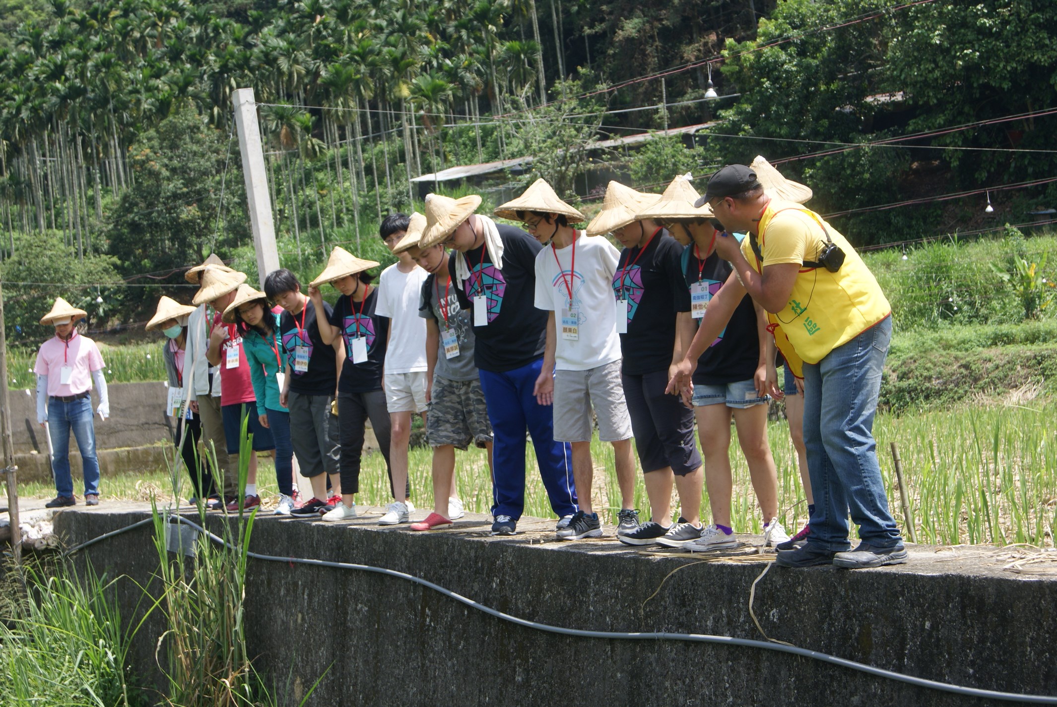 環境教育，白魚生態及溪流棲地生態認識
