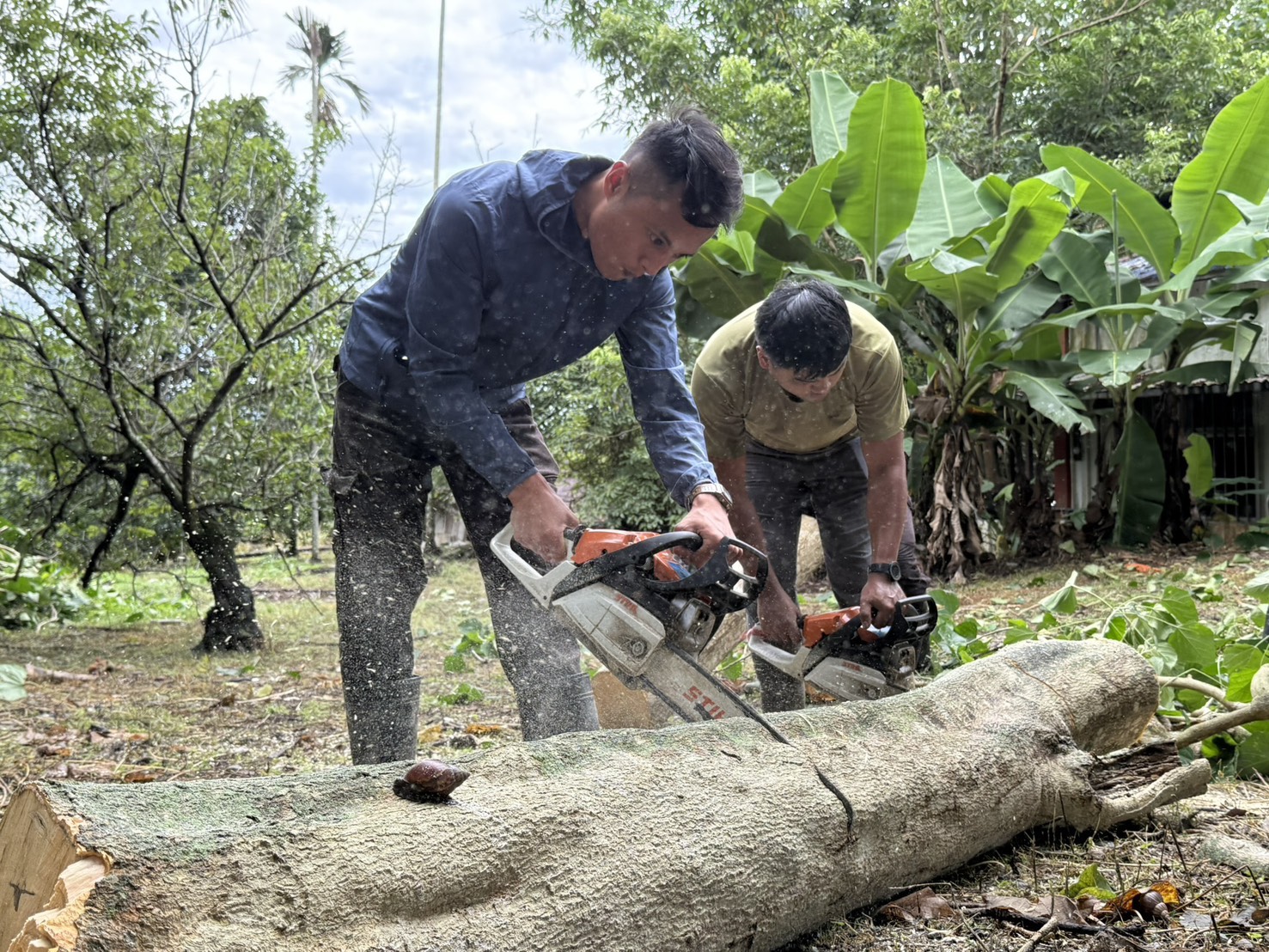 The member of“部落抓地力” team gather materials to make the handle and scabbard.