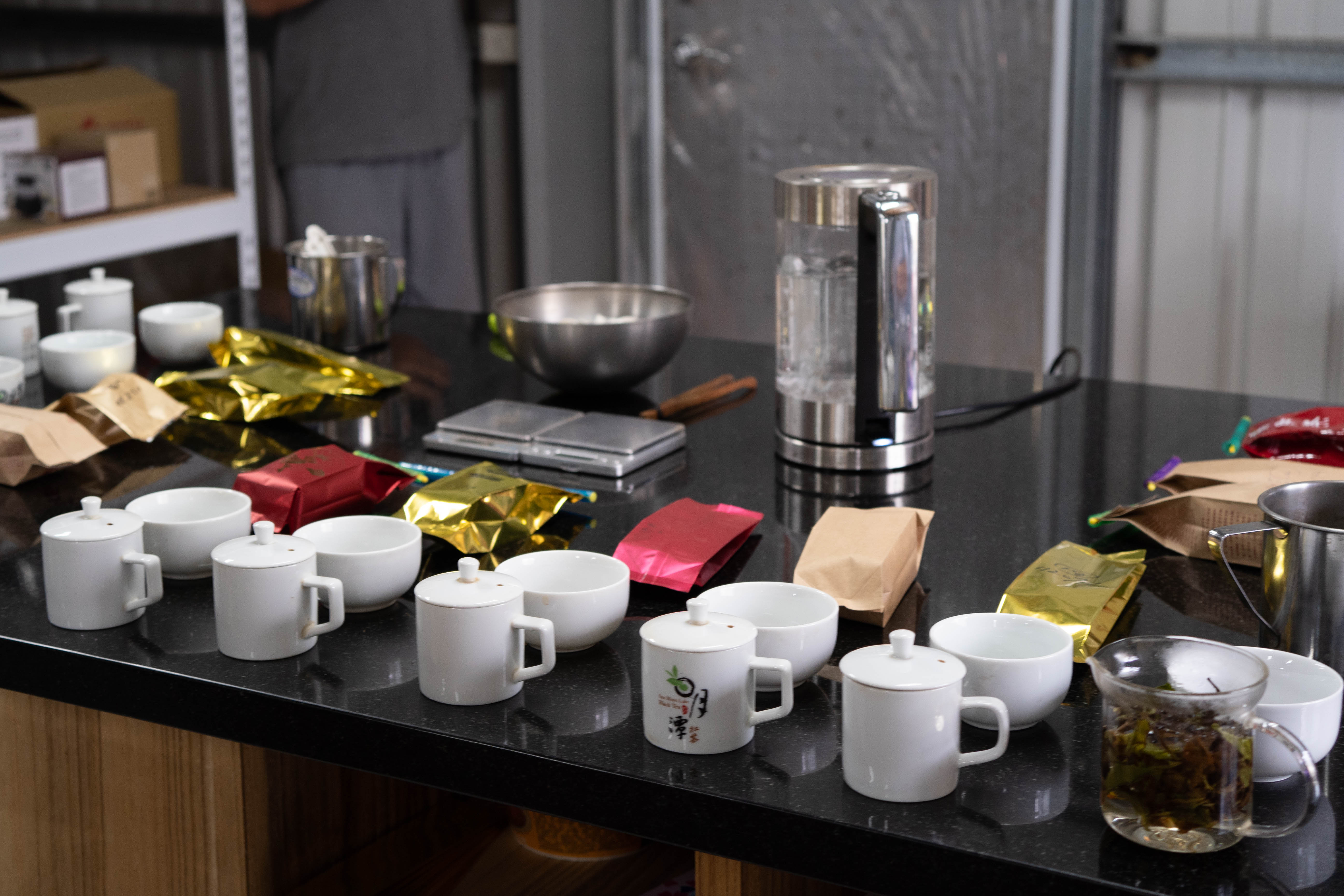 113/02/07跟著「茶說旅行」，來一趟日月潭茶之旅！