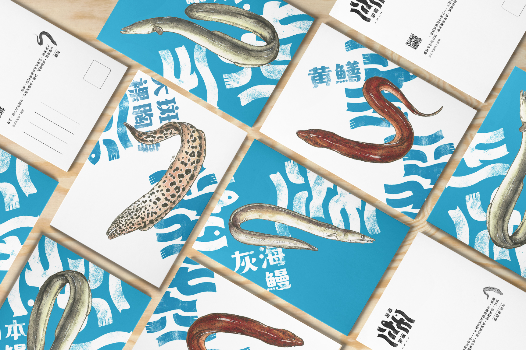 111/11/09你好,鰻魚君!跟著港灣溜魚前進鰻魚的奇幻世界!