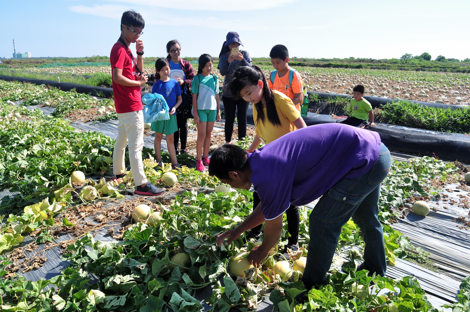 產業探索營帶小朋友探訪種植洋香瓜的農民