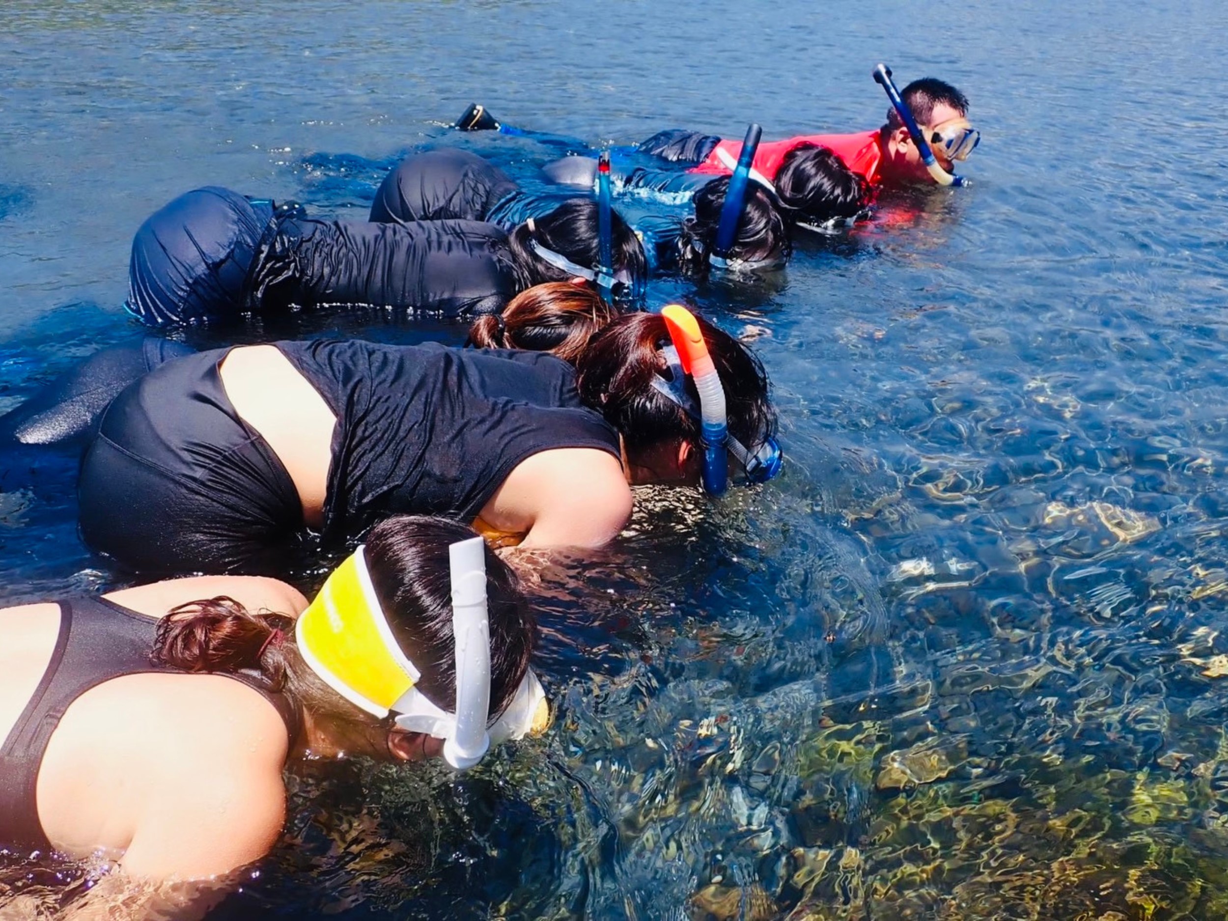 宜蘭南澳-一米地有限公司帶領青年「窺看」溪底生物