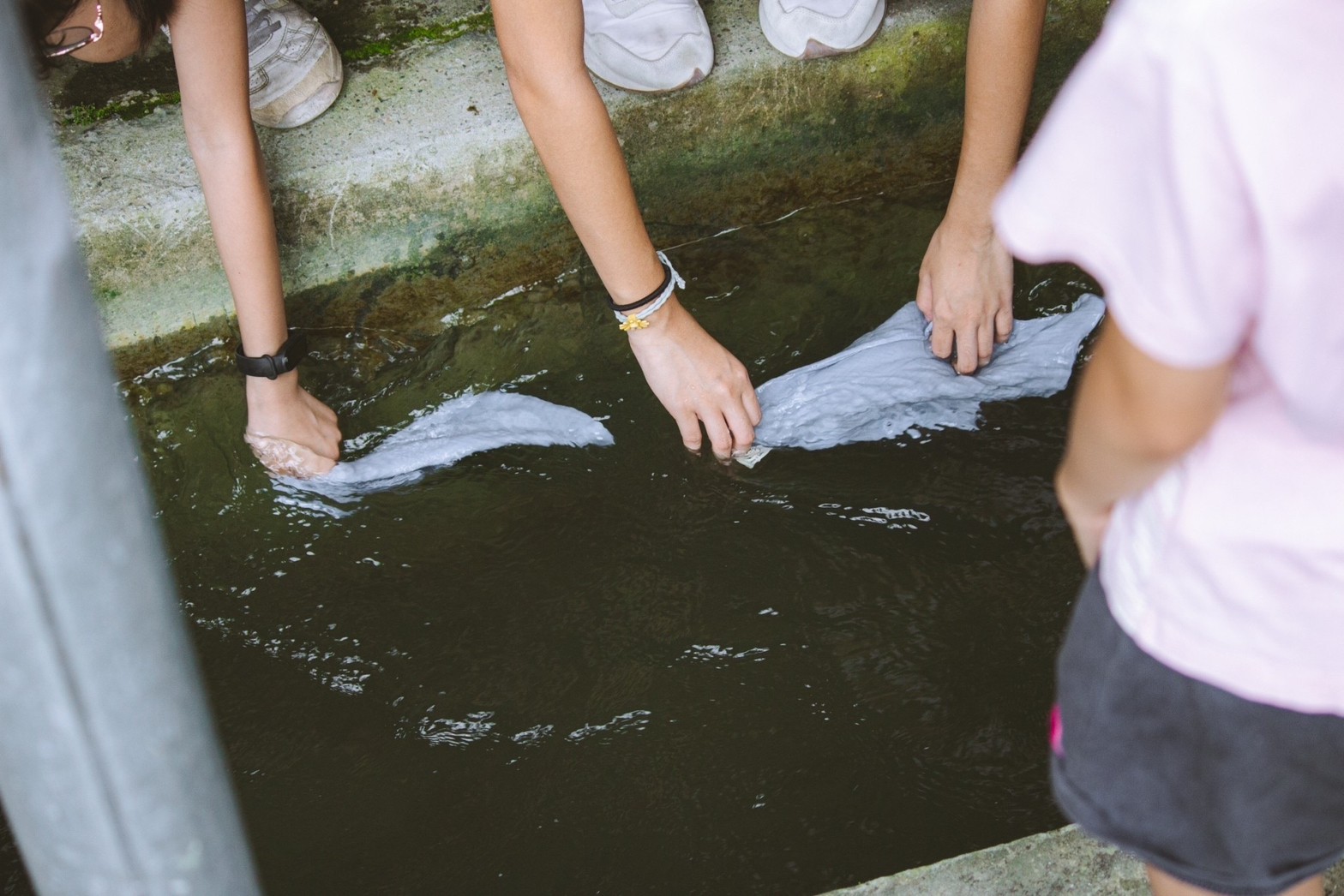 112/10/25水水富春鄉，走進豐原流域展開行動。