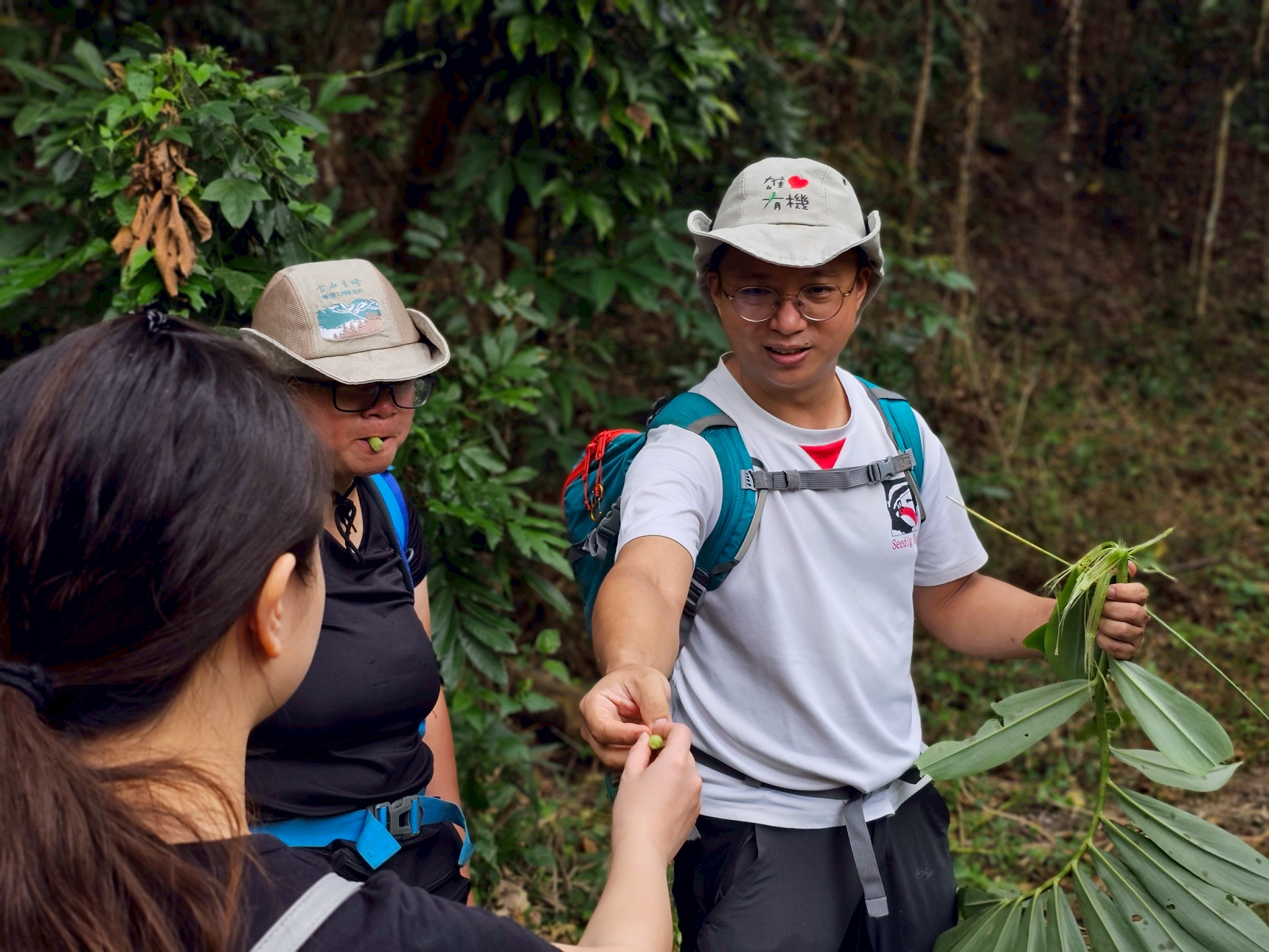 114/10/08 湯姆生的足跡，青年壯遊的杉林篇章
