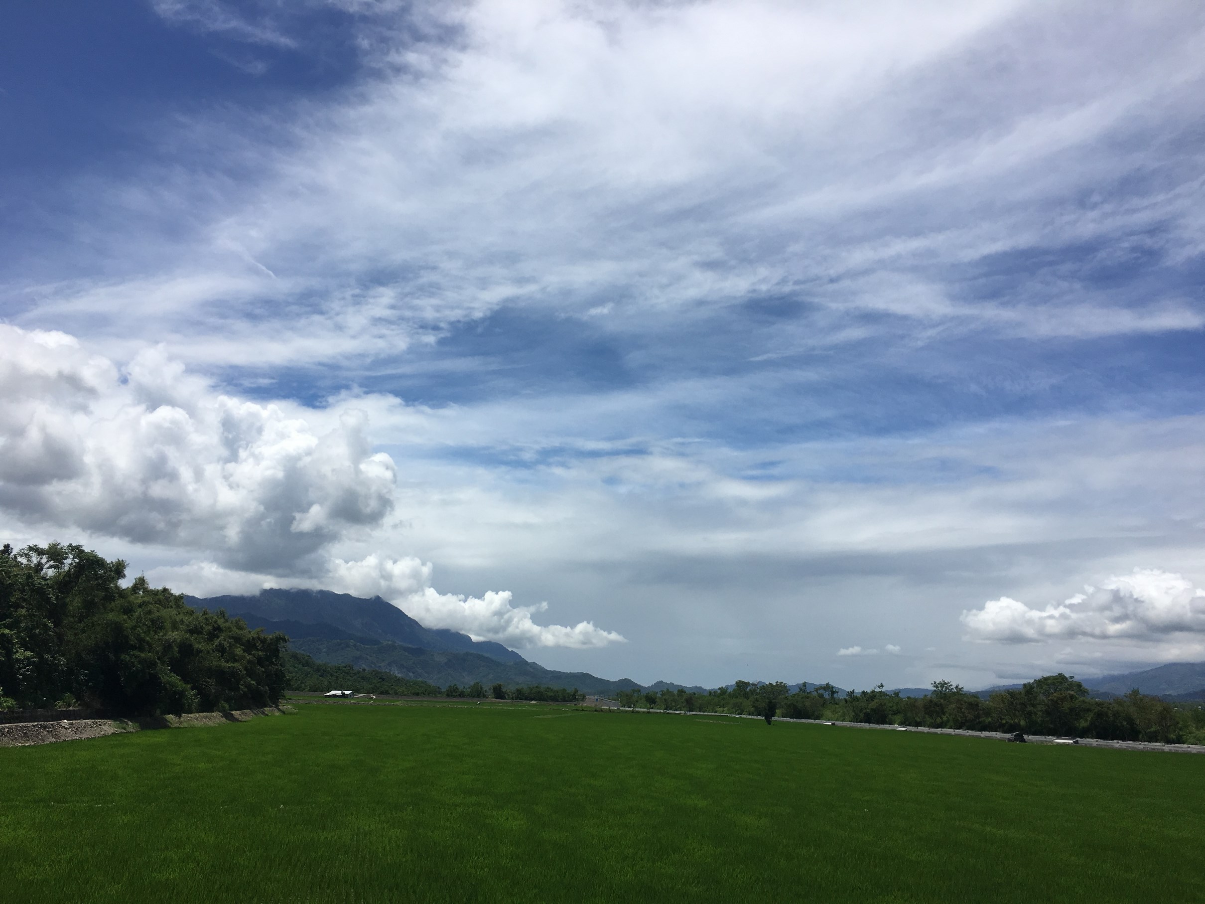 青年壯遊-花東縱谷平原美景